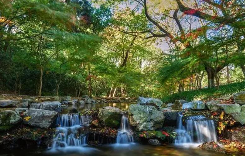 湖北凱蒂園林分享園林綠化設計要點(diǎn)分析
